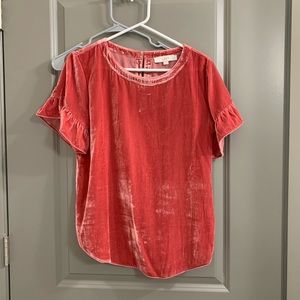 NWOT Loft velvet tee